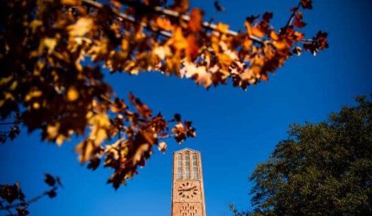 Area students attending MSU named to President’s List