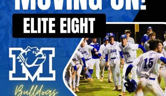 High School Baseball: PCA, Marbury and Stanhope Elmore Advance to 3rd Round of Playoffs