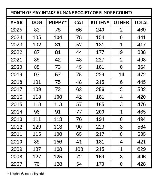 HSEC takes in 469 animals to shelter in May! Adopt, spay and neuter your pets, please