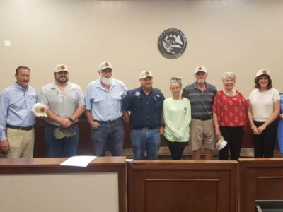 Millbrook Council has first reading of ordinance designating Main Street Development area