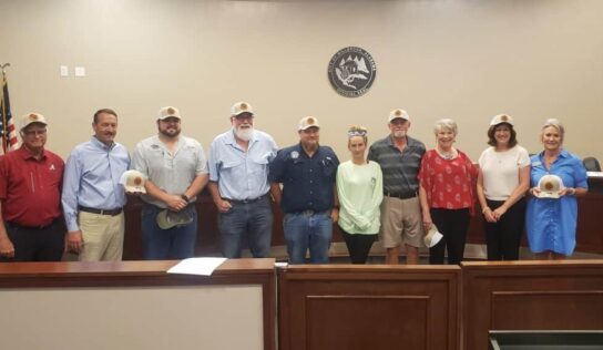 Millbrook Council has first reading of ordinance designating Main Street Development area