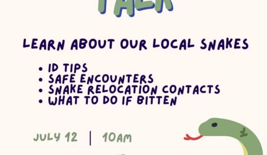 Sssssspecial event! Snake Education coming to 17 Springs Saturday