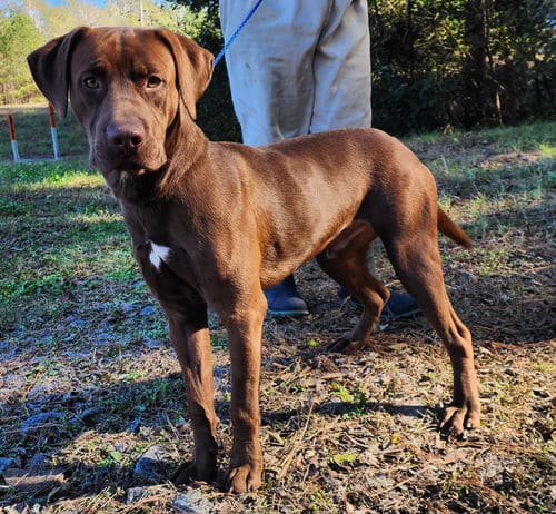 Buccee is ready for a friend.