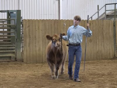 Three Billingsley FFA members receive Supervised Agricultural Experience grants