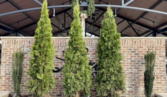 Prattville Council sets naming procedures for municipal properties, addresses sign at 124 West Main Street