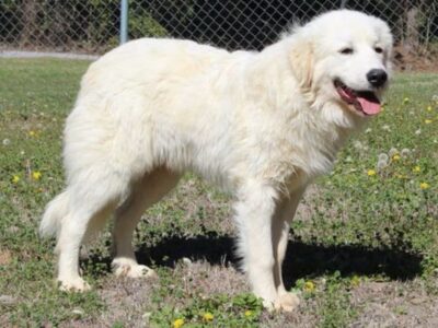 Max is a country boy!