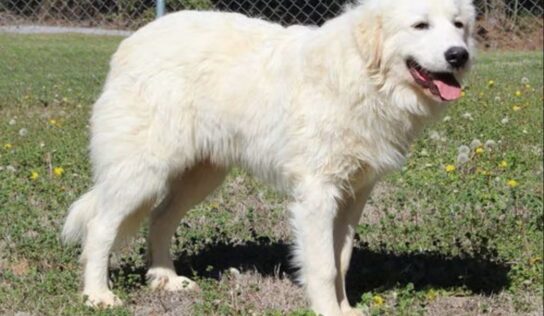 Max is a country boy!