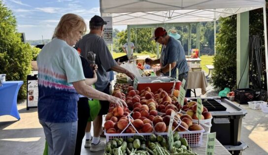 Fresh local and close to home farmers markets return across the River Region